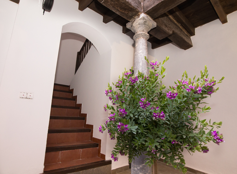 Apartamento Nahira Suites