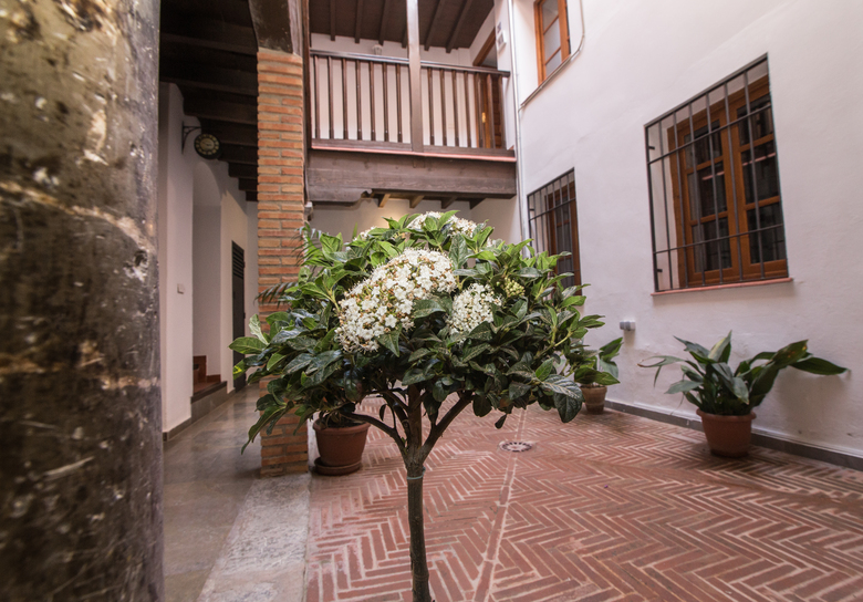 Apartamento Nahira Suites