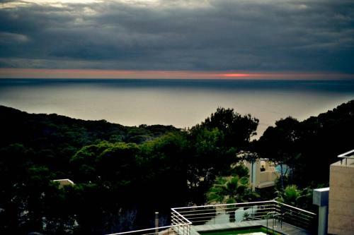 Ani Villa