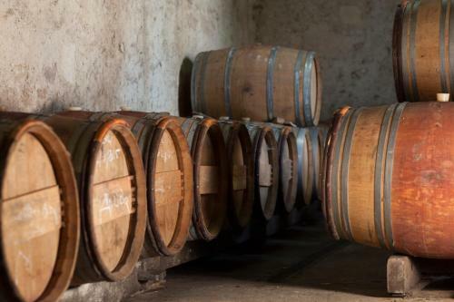 Clos Vieux Rochers Vineyard