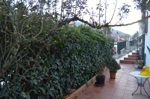 Hostal Pensi�n El Peregrino