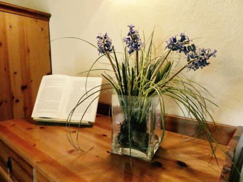 Agroturismo El Bosquer� De La Garrotxa