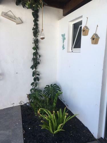Villa Casa Bella Vista