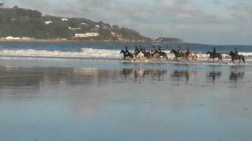 Apartamentos Appartement Meubl� Hendaye
