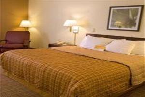 Hotel La Quinta Inn & Suites Warwick