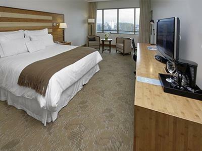 Sonesta Hotel Osorno