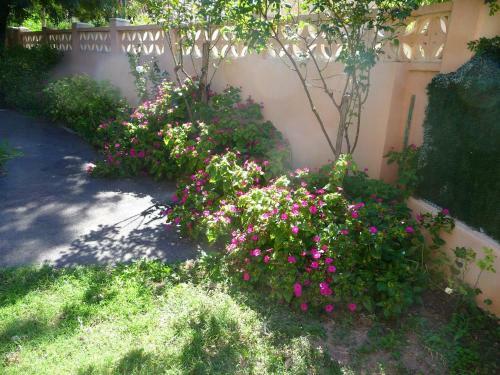 Apartamento Le Coin Tranquille