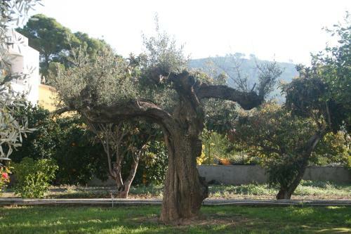 El Campillo, Casa De Campo Cerca De La Playa
