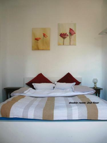 Albergue Ananda's Mundo