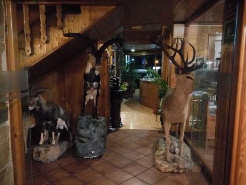 Albergue Hostal Sierra De Baza