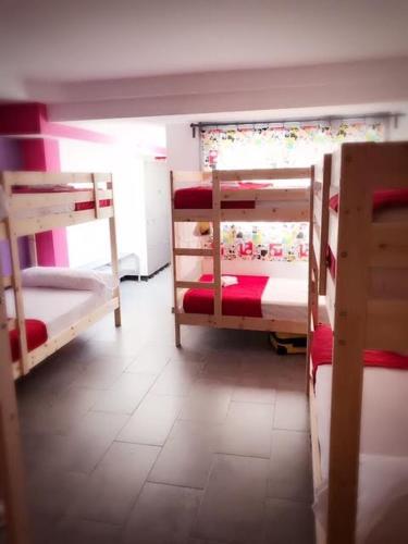 Hostal New Art Hostel