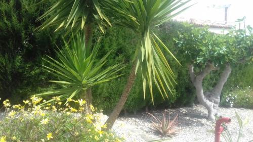 Carabela Sun Holidays 2