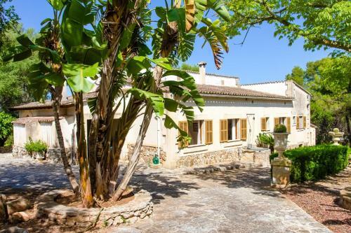Villa Es Pinar