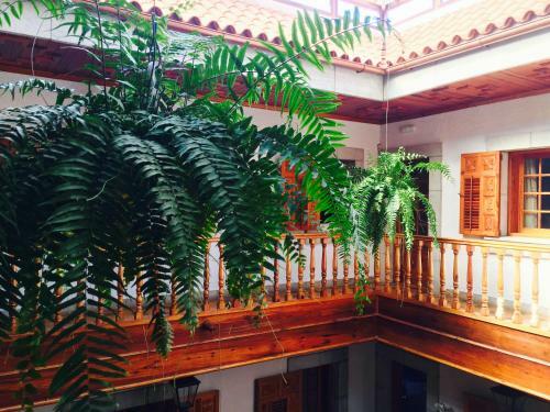 Bed & Breakfast Sogno Di Gio