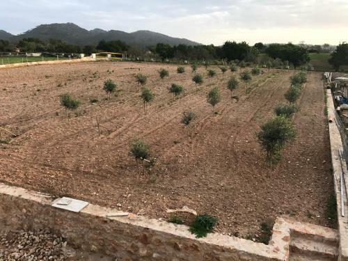 Agroturismo Ca Na Nina