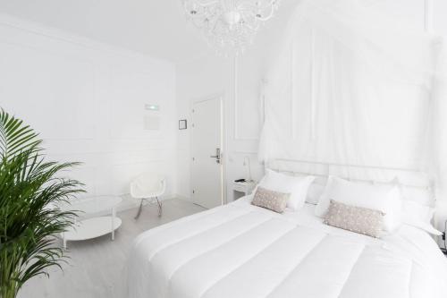 Hotel Urban Suite Santander