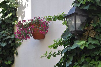 Apartment Residence