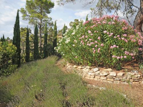 Holiday Home Lei Roucas