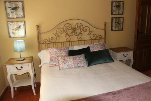 Apartamento Apto Homelife Coliseo Catedral