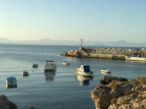 Homely Apartments Blasco Iba�ez