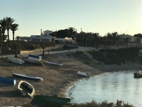 Homely Apartments Blasco Iba�ez