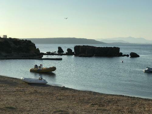 Homely Apartments Blasco Iba�ez