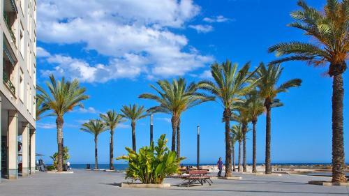 Homely Apartments Blasco Iba�ez