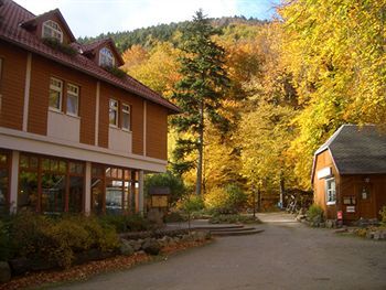 Kurpark-hotel Im Ilsetal