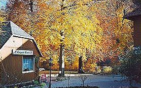 Kurpark-hotel Im Ilsetal