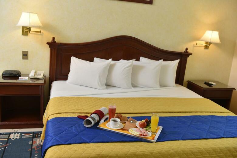 Hotel Continental Park