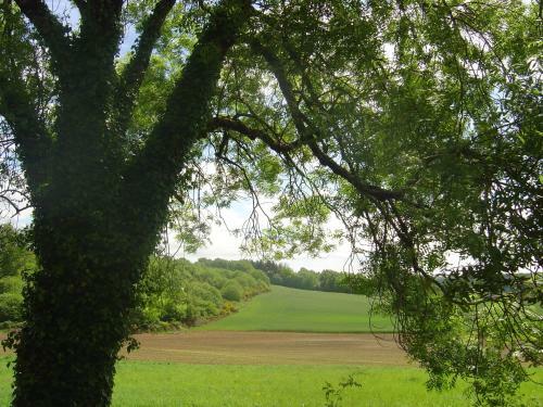 Bed & Breakfast Le Puy Robin