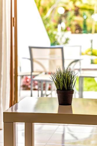 Apartment Garden City