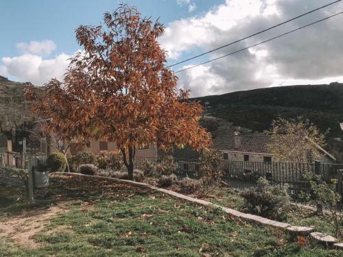 Apartamento La Escuela