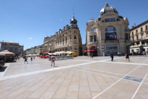 Apartamentos Montcalm Climatis� En Plein �cusson