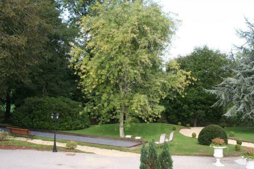 Hostal Chateau D'argouges