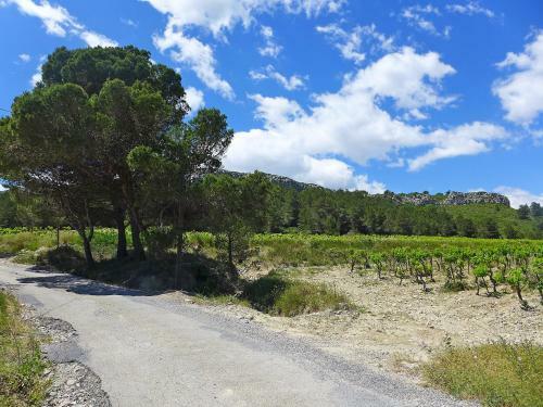 Agroturismo Farm Stay Les Vendanges