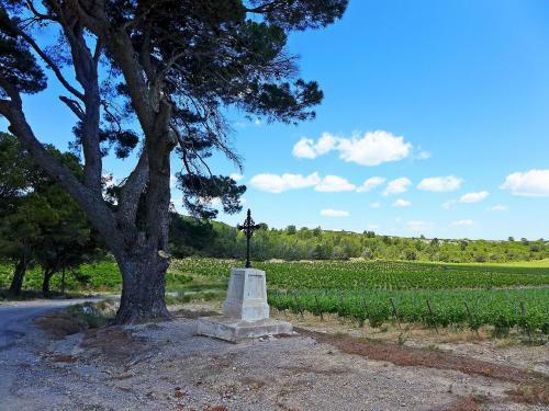 Agroturismo Farm Stay Les Vendanges
