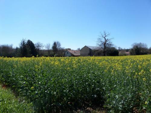 Bed & Breakfast La Roseraie