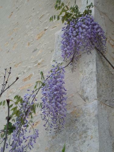 Bed & Breakfast La Roseraie