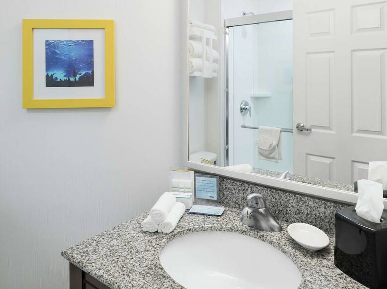 Hotel Hampton Inn & Suites Atlanta-downtown
