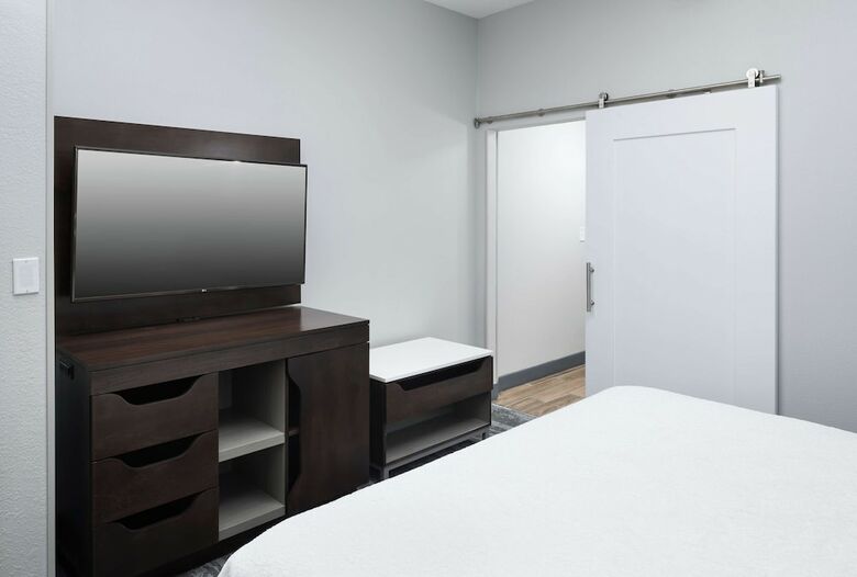 Hotel Hampton Inn & Suites Atlanta-downtown