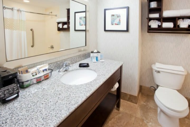 Hotel Hampton Inn & Suites Atlanta-downtown