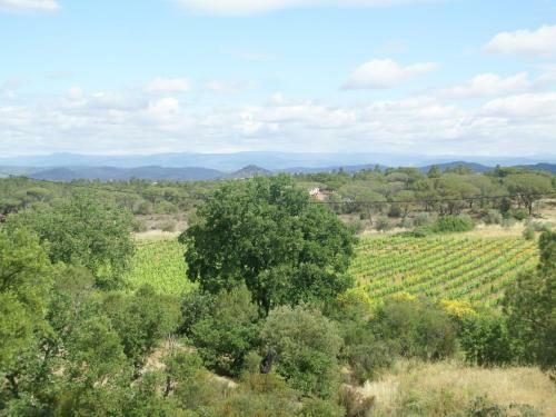 Villa Vidauban 4