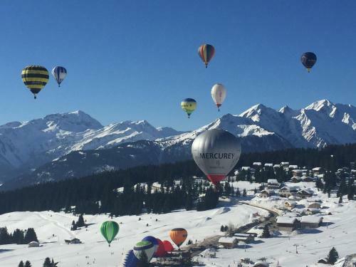 Apartamento Les Saisies Bisanne