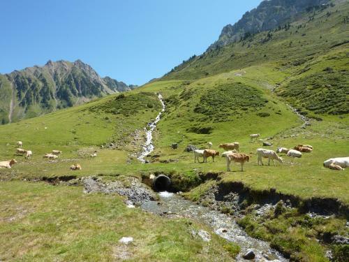 Aparthotel R�sidence Mer & Golf Pic Du Midi