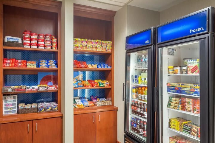 Hotel Hampton Inn & Suites Knoxville-downtown Tn