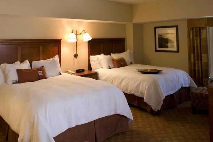 Hotel Hampton Inn & Suites Knoxville-downtown Tn