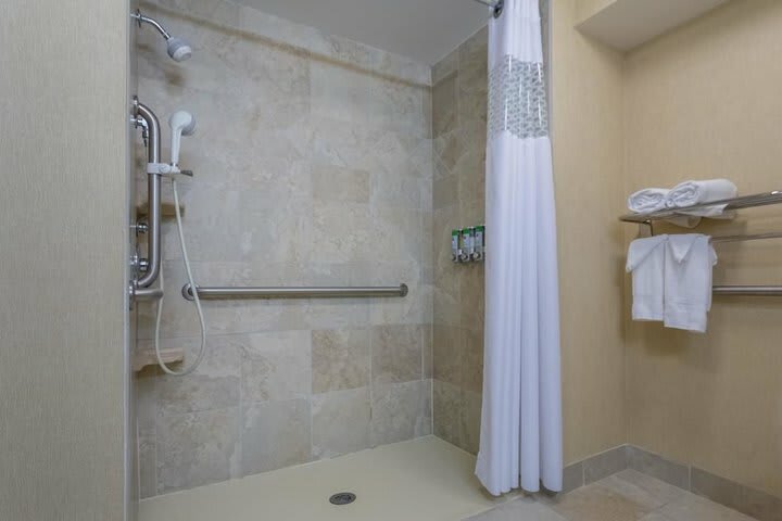 Hotel Hampton Inn & Suites Knoxville-downtown Tn