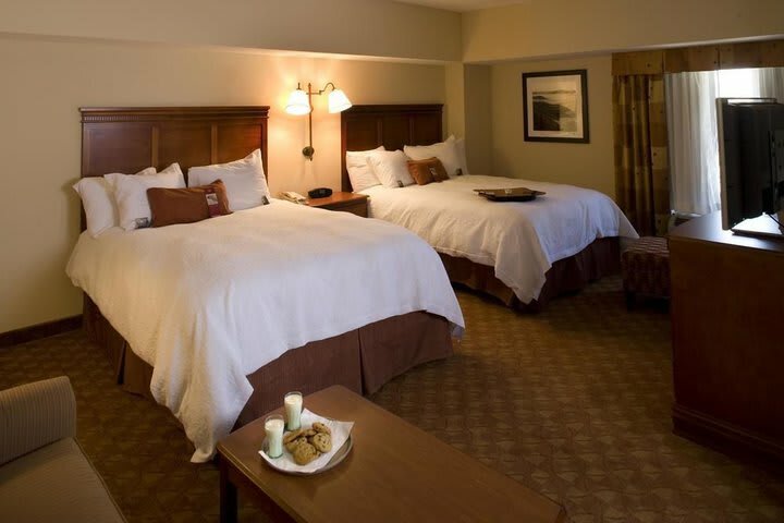 Hotel Hampton Inn & Suites Knoxville-downtown Tn