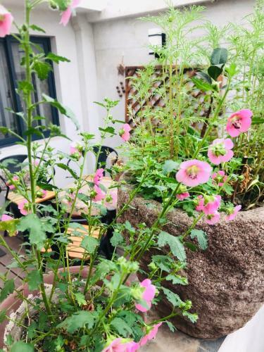 Posada Garden Boutique Inn